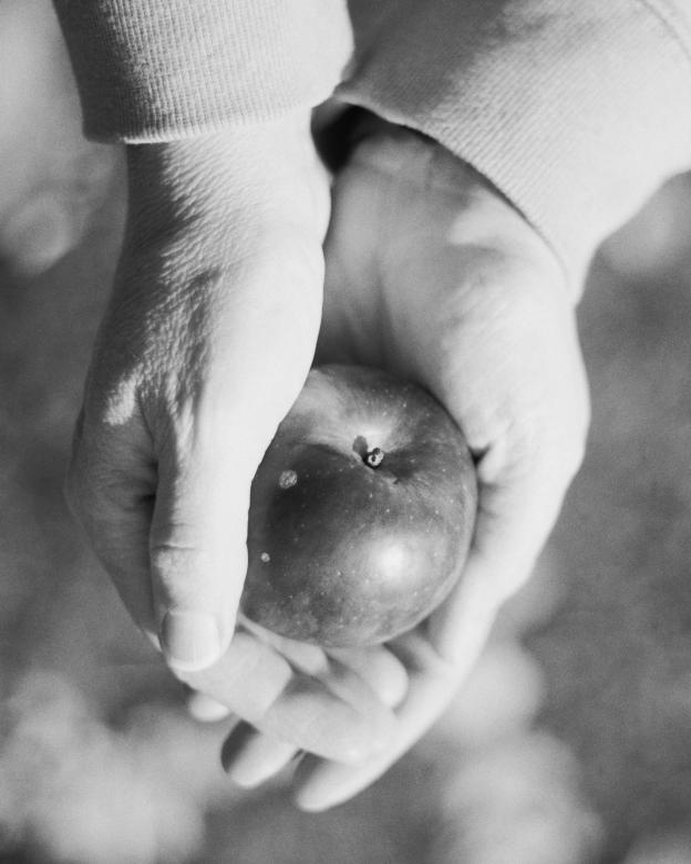 Hands holding an apple B&W