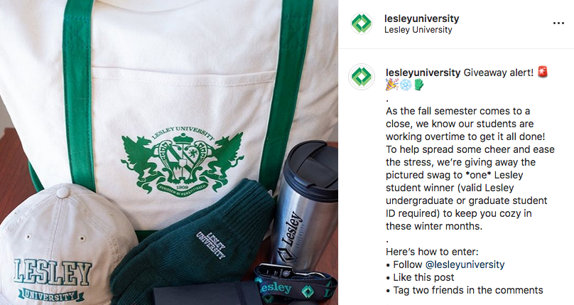 screenshot of instagram post featuring Lesley giveaway merchandise