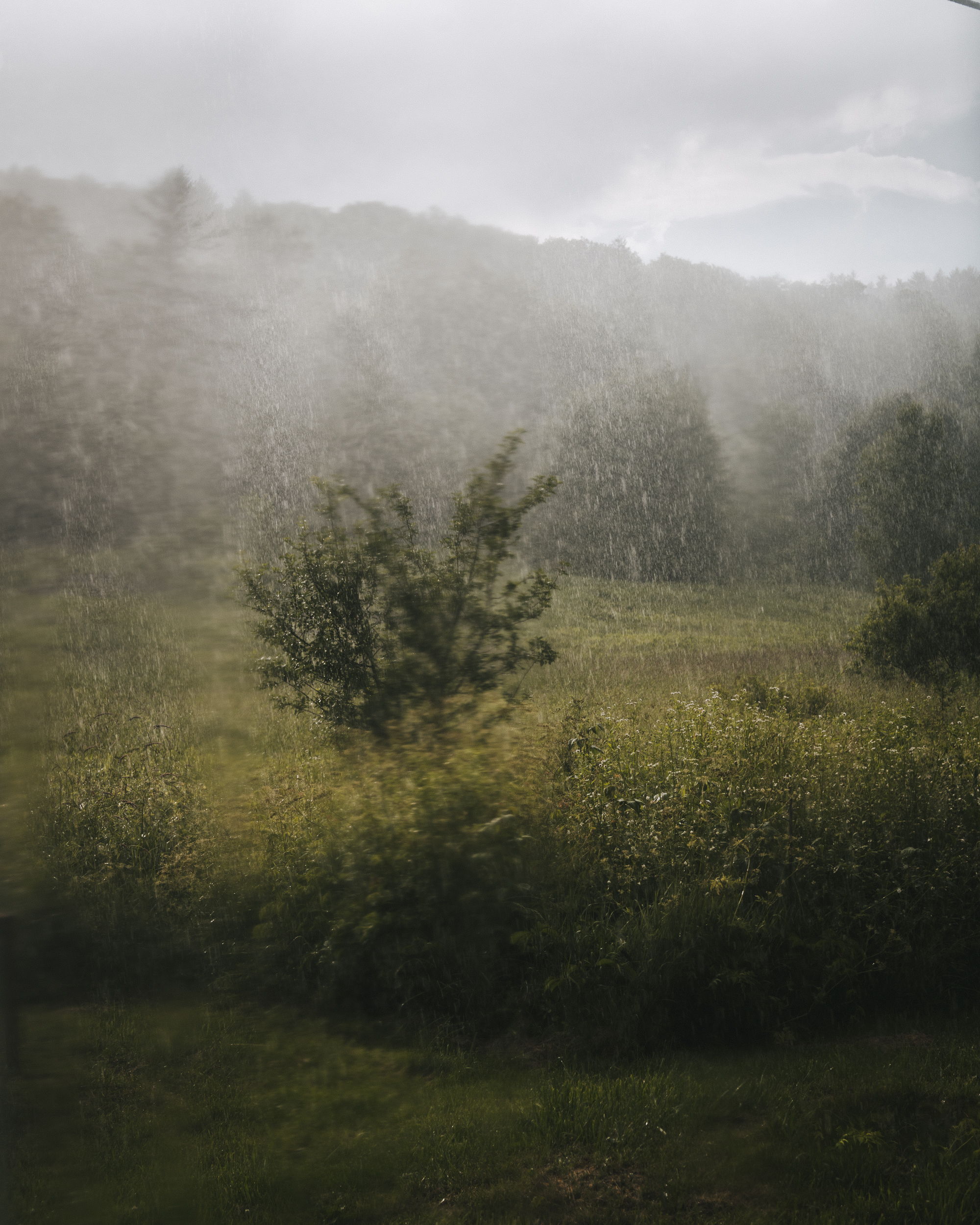 A Kelly Burgess photograph of a misty meadow