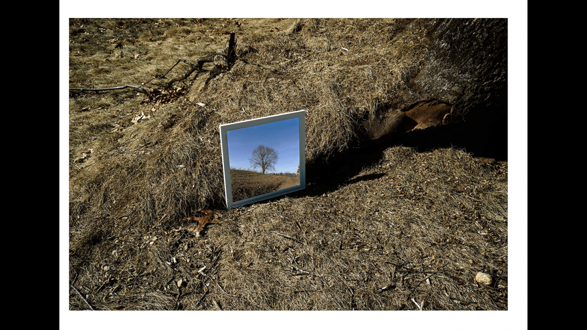 A mirror sitting on a dry brown grassy bank. The mirror reflects a single tree and a blue sky.