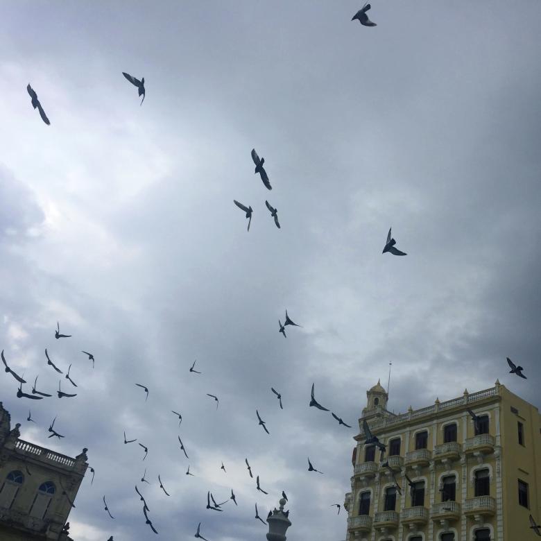 Vivian-Poey's-photo-Fly-Over-Havana