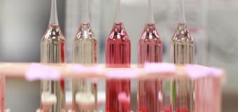 Pink chemistry vials lined up for science class.