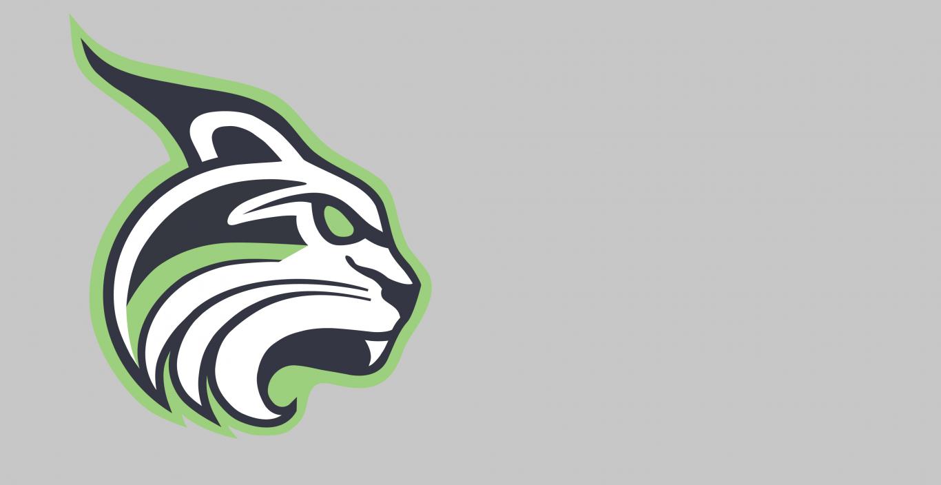 The Lesley Lynx logo on a gray background.