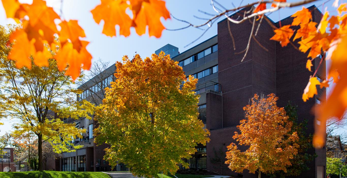 doble campus during the fall