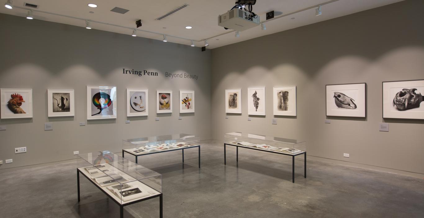 Raizes Gallery: Irving Penn Exhibition 