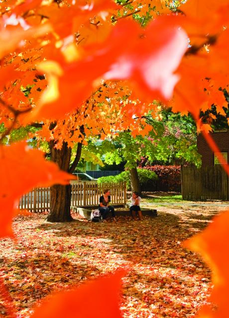 Leafy orange landscape surrounds two students sitting and chatting on a stone bench.