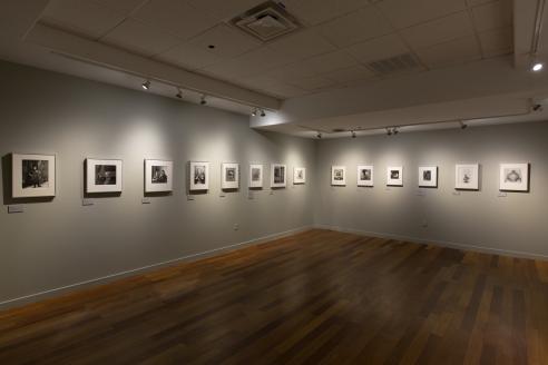 VanDernoot Gallery: Irving Penn Exhibition 