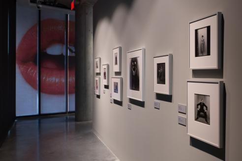 Roberts Gallery: Irving Penn Exhibition 