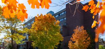 doble campus during the fall