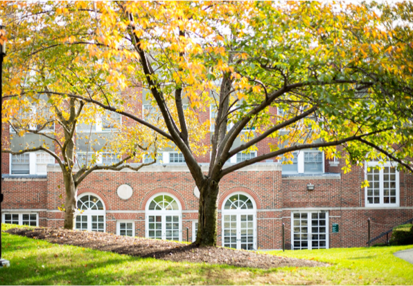 photo of one of lesley's buildings with a beautiful tree in front of it